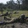 U.S. Marines train with Cameroon Marines