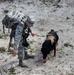 Military Working Dog Handlers Maintain Readiness