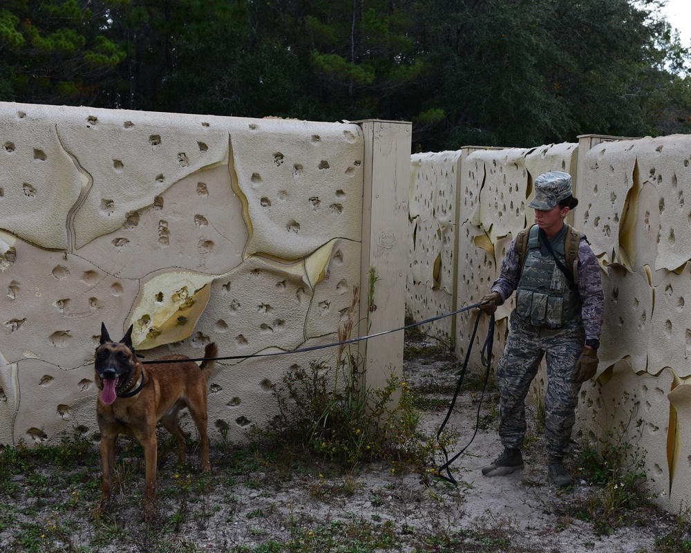 Military Working Dog Handlers Maintain Readiness