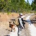 Military Working Dog Handlers Maintain Readiness