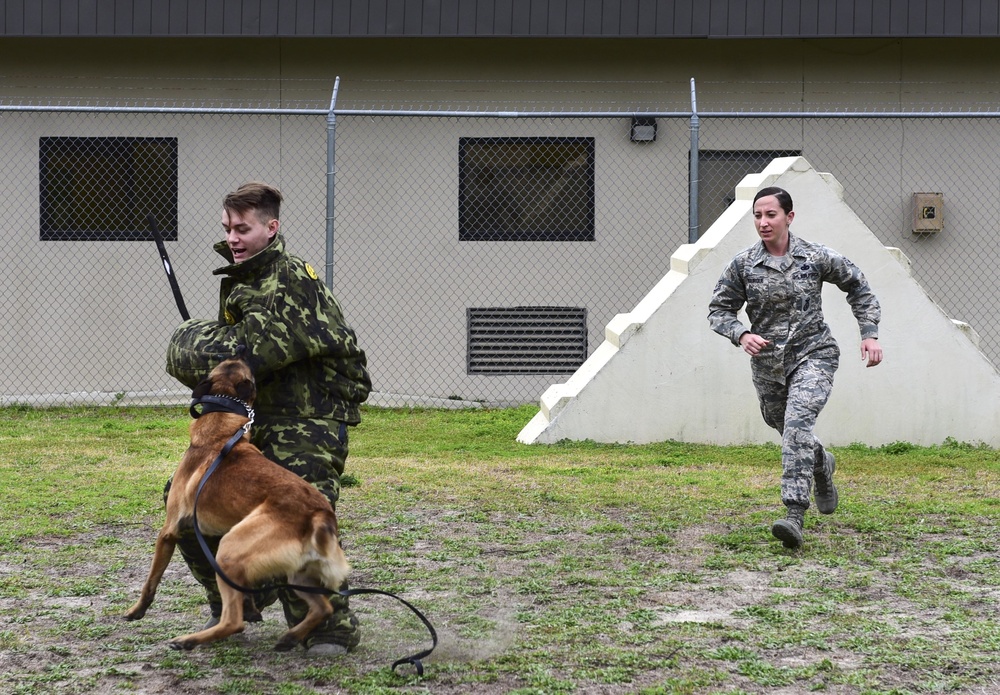 Military Working Dog Handlers Maintain Readiness