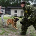 Military Working Dog Handlers Maintain Readiness