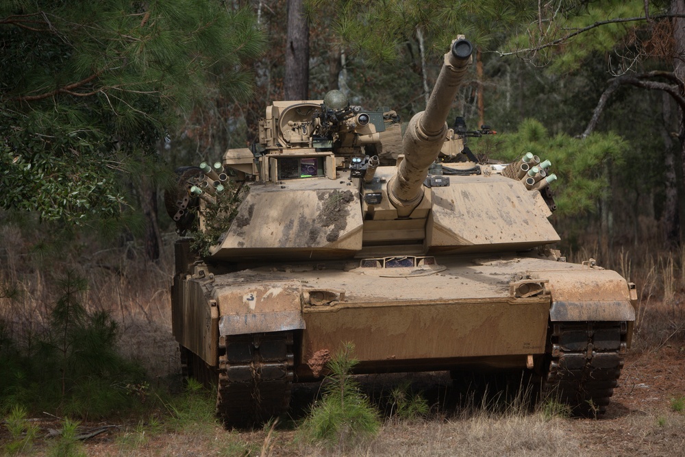 2d Tank Battalion DFT