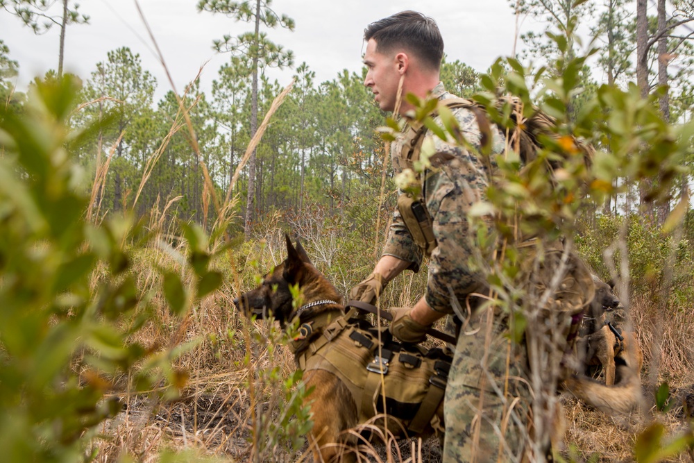 2nd LEB trains with Canadian Special Forces
