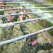 Marine NCOs lead from the front at Cpl’s Course