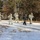 Cold-Weather Operations Course Class 18-05 students practice snowshoeing at Fort McCoy