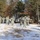 Cold-Weather Operations Course Class 18-05 students practice snowshoeing at Fort McCoy