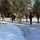 Cold-Weather Operations Course Class 18-05 students practice snowshoeing at Fort McCoy