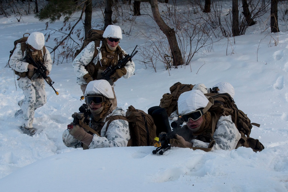 Charlie Company Marines conduct cold-weather helo raid training exercise