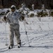 Snow day in the sun, Charlie Company Marines refine ski, sled capabilities