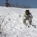 Snow day in the sun, Charlie Company Marines refine ski, sled capabilities