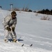 Snow day in the sun, Charlie Company Marines refine ski, sled capabilities
