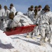 Snow day in the sun, Charlie Company Marines refine ski, sled capabilities