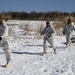 Snow day in the sun, Charlie Company Marines refine ski, sled capabilities
