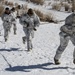 Snow day in the sun, Charlie Company Marines refine ski, sled capabilities