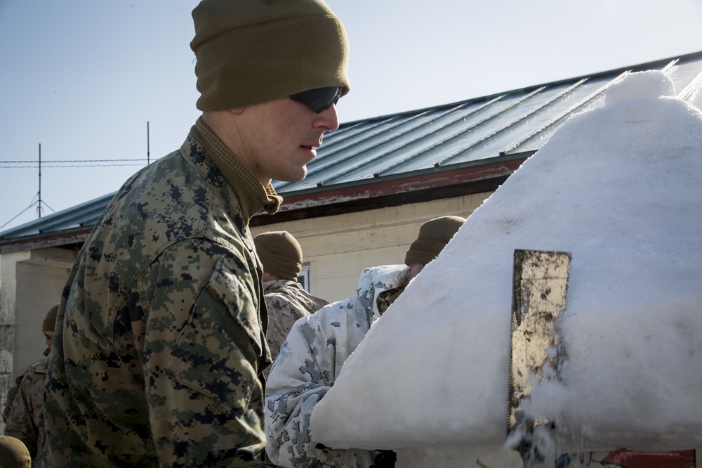 Snow day in the sun, Charlie Company Marines refine ski, sled capabilities