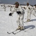 Snow day in the sun, Charlie Company Marines refine ski, sled capabilities