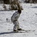 Snow day in the sun, Charlie Company Marines refine ski, sled capabilities