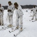 Snow day in the sun, Charlie Company Marines refine ski, sled capabilities