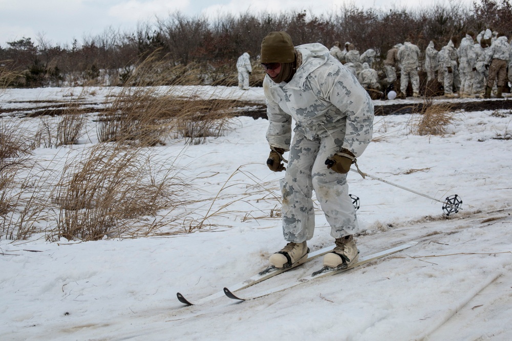 Snow day in the sun, Charlie Company Marines refine ski, sled capabilities