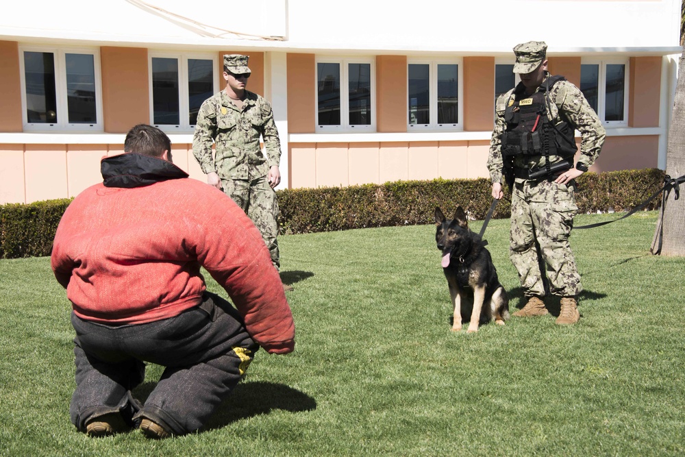 NSA Souda Bay Conducts Military Working Dog Training