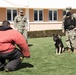 NSA Souda Bay Conducts Military Working Dog Training