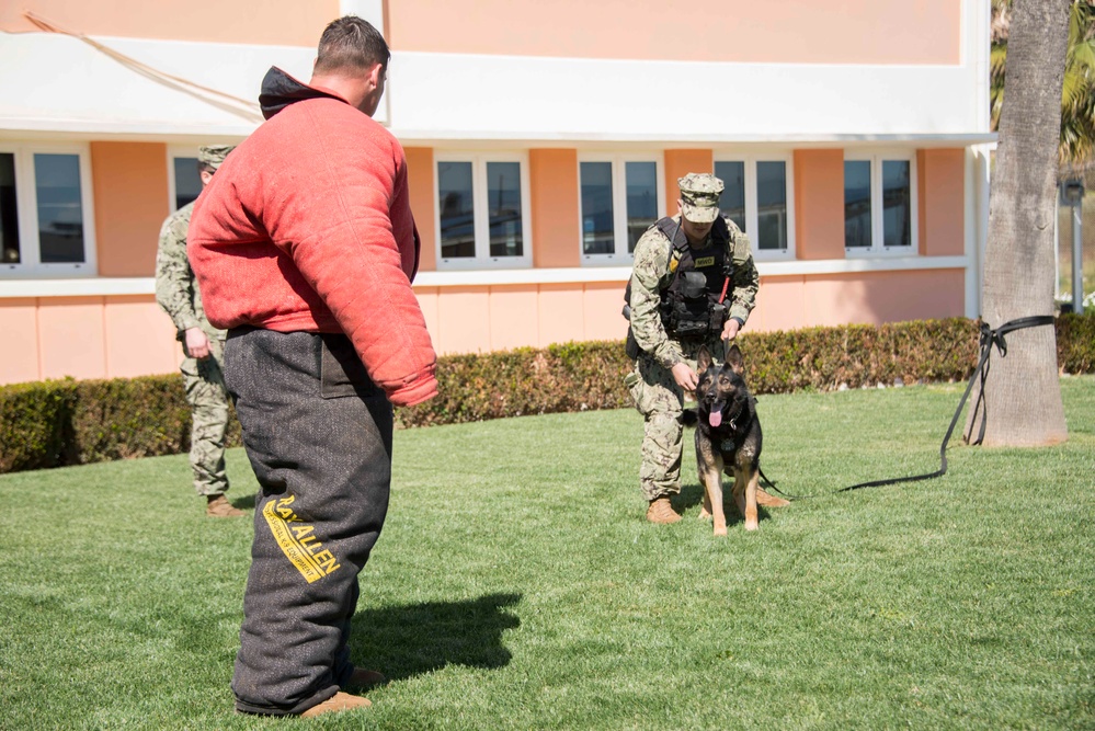 NSA Souda Bay Conducts Military Working Dog Training