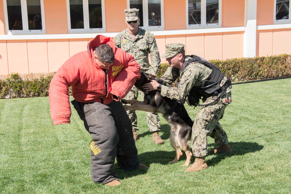 NSA Souda Bay Conducts Military Working Dog Training