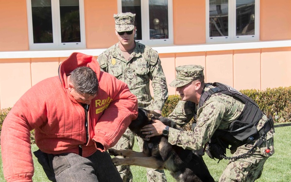 NSA Souda Bay Conducts Military Working Dog Training