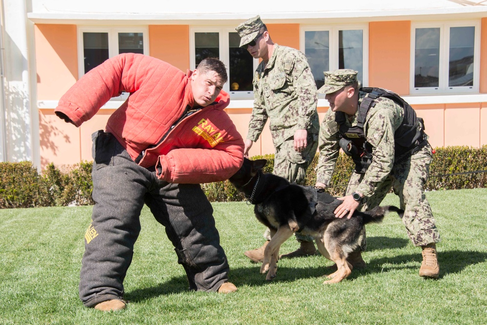 NSA Souda Bay Conducts Military Working Dog Training