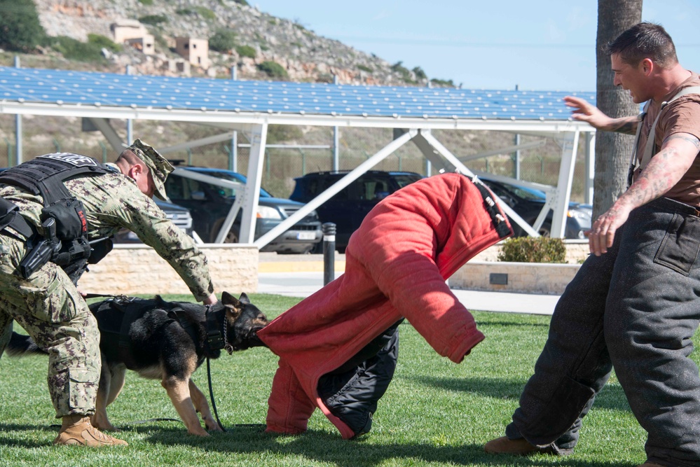 NSA Souda Bay Conducts Military Working Dog Training