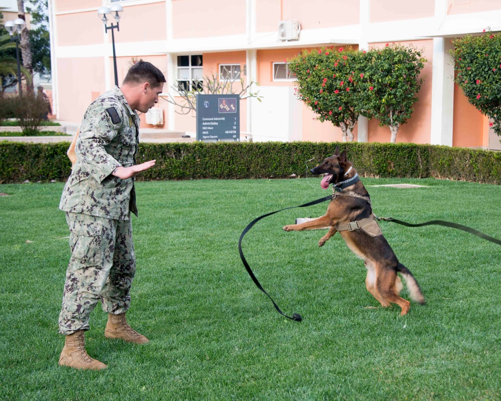 NSA Souda Bay Conducts Military Working Dog Training