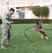 NSA Souda Bay Conducts Military Working Dog Training