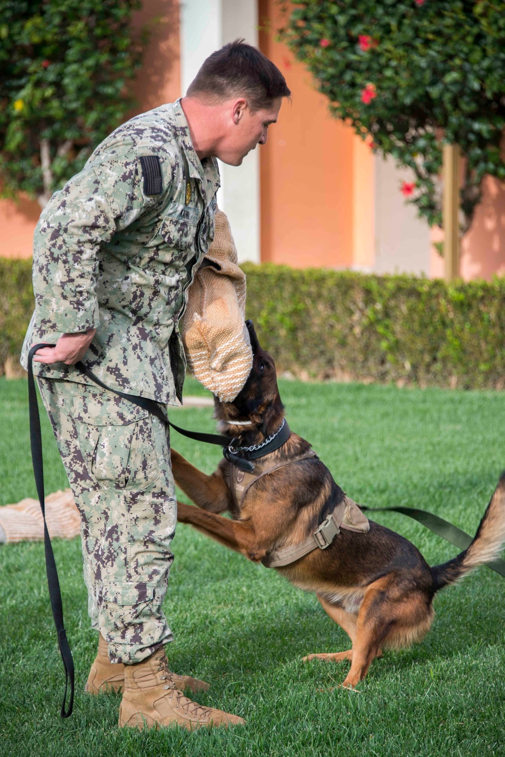 NSA Souda Bay Conducts Military Working Dog Training