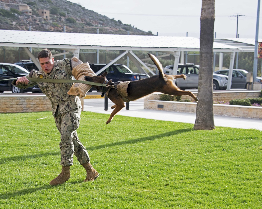 NSA Souda Bay Conducts Military Working Dog Training