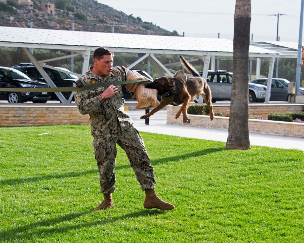 NSA Souda Bay Conducts Military Working Dog Training