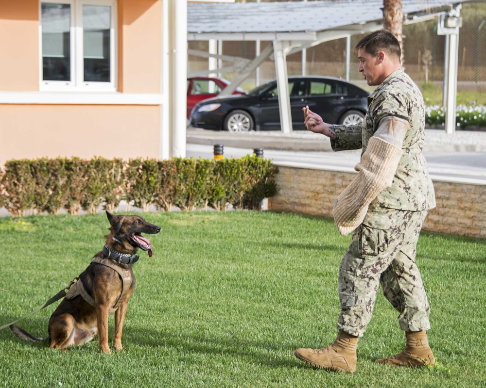 NSA Souda Bay Conducts Military Working Dog Training