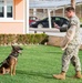 NSA Souda Bay Conducts Military Working Dog Training