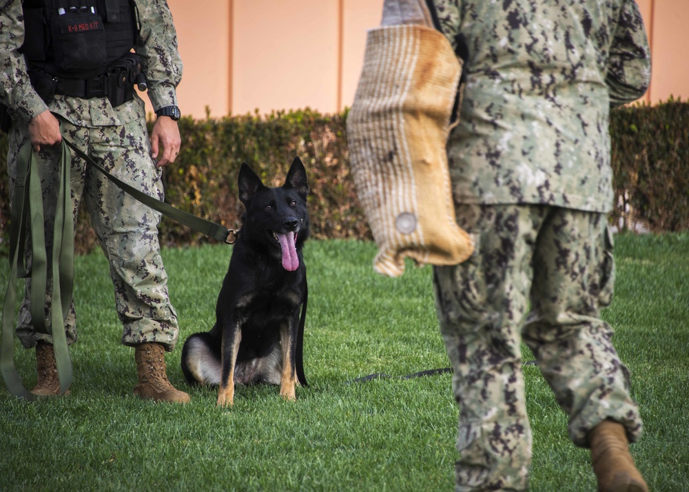 NSA Souda Bay Conducts Military Working Dog Training