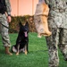 NSA Souda Bay Conducts Military Working Dog Training