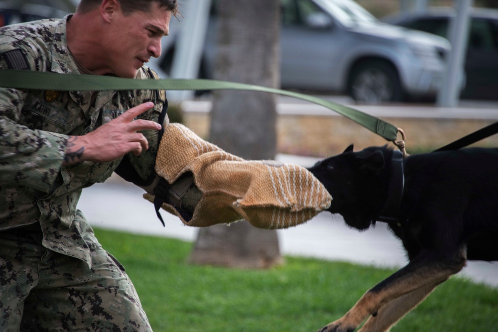 NSA Souda Bay Conducts Military Working Dog Training