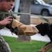 NSA Souda Bay Conducts Military Working Dog Training