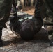 SPMAGTF-CR-AF LCE Certification Exercise Complete, Shows Deployment Readiness
