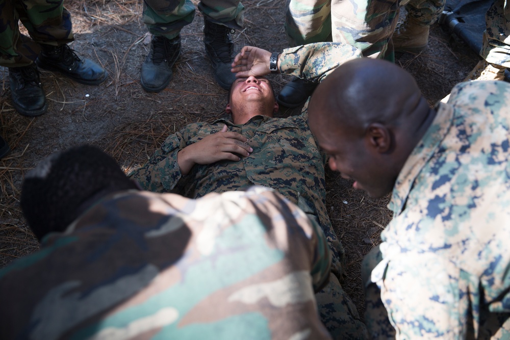 SPMAGTF-CR-AF LCE, CERTEX, Training, Readiness, Deployment, CLB 2
