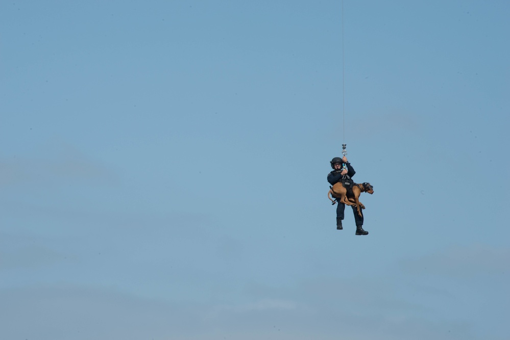 Coast Guard canine and handler deployed from helicopter during training