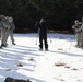 Cold-Weather Operations Course Class 18-05 students practice snowshoeing at Fort McCoy