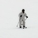 Cold-Weather Operations Course Class 18-05 students practice skiing at Fort McCoy