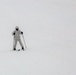 Cold-Weather Operations Course Class 18-05 students practice skiing at Fort McCoy