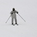 Cold-Weather Operations Course Class 18-05 students practice skiing at Fort McCoy