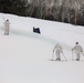 Cold-Weather Operations Course Class 18-05 students practice skiing at Fort McCoy